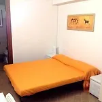 Belle Arti *